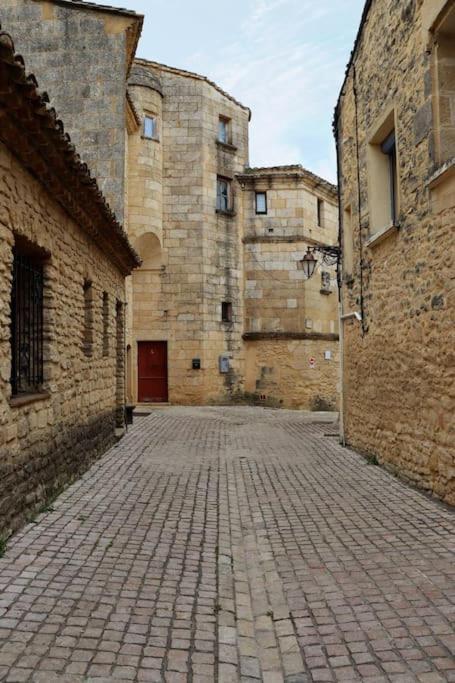 Appartamento Entre Uzes Et Le Pont-Du-Gard Le Logis D'Autrefois Castillon-du-Gard Esterno foto