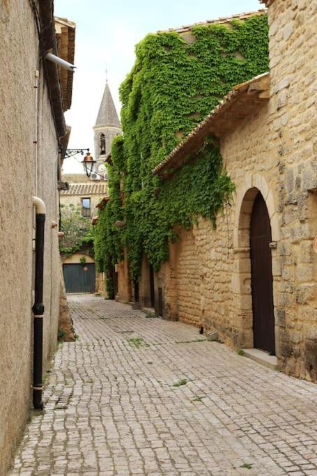 Appartamento Entre Uzes Et Le Pont-Du-Gard Le Logis D'Autrefois Castillon-du-Gard Esterno foto