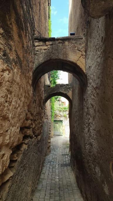 Appartamento Entre Uzes Et Le Pont-Du-Gard Le Logis D'Autrefois Castillon-du-Gard Esterno foto